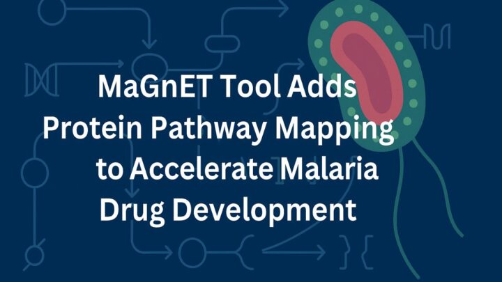 MaGnET Tool Adds