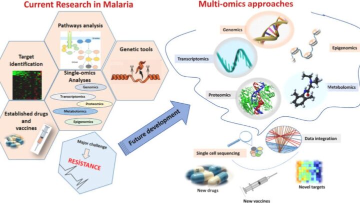 Malaria Research Boosted